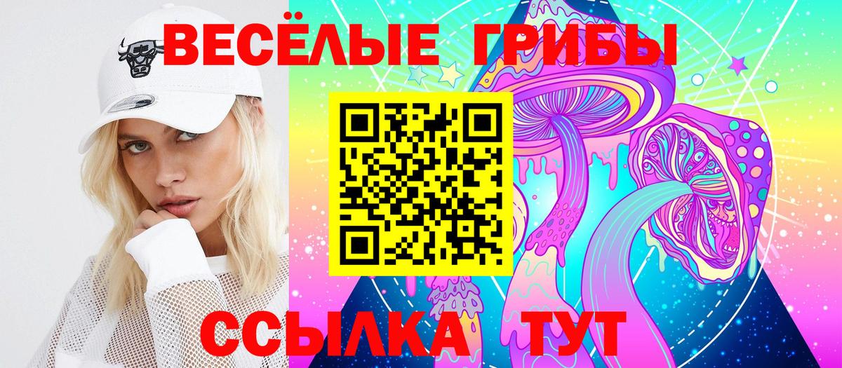 Галлюциногенные грибы Cubensis  сколько стоит  Россия  Вход с VPN 